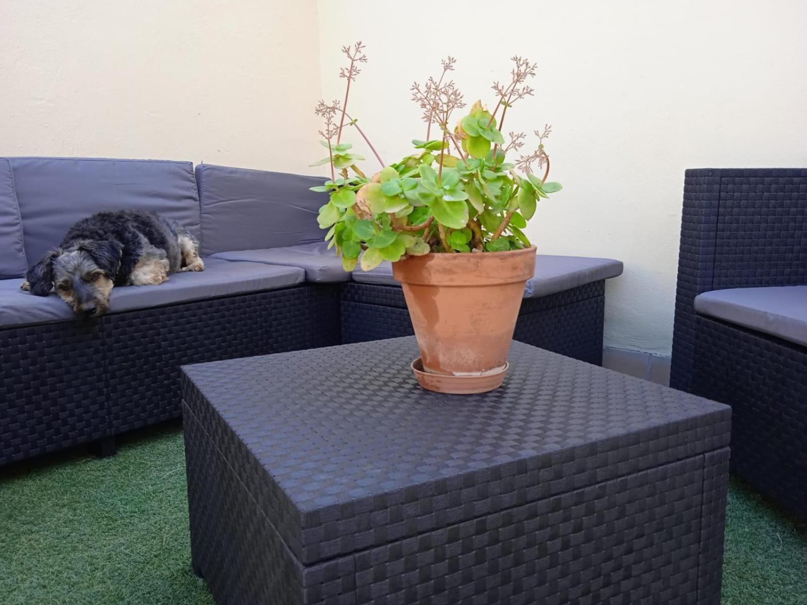 Livingtarifa Apartamento Nano Ngoại thất bức ảnh